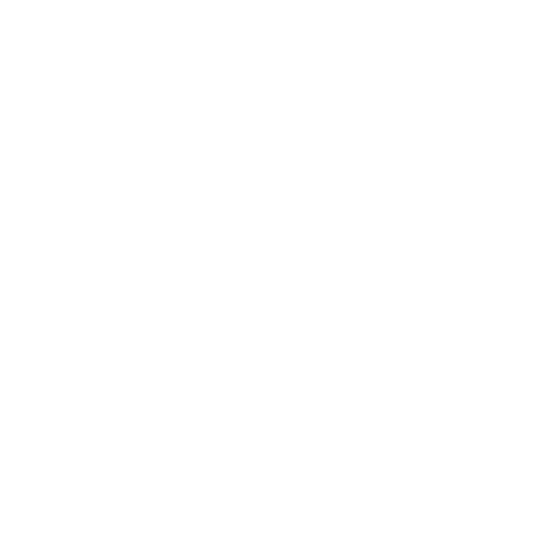 Logo Roller Party